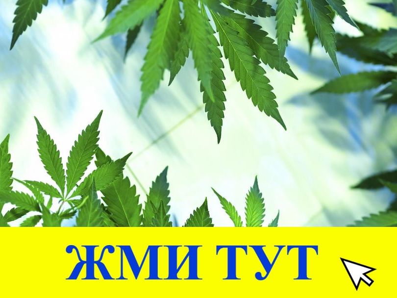 Купить наркотики в Кукморе